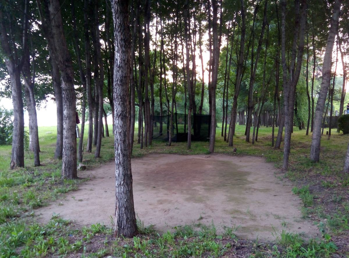 吉林市陈小星拳法研究会 场馆门头
