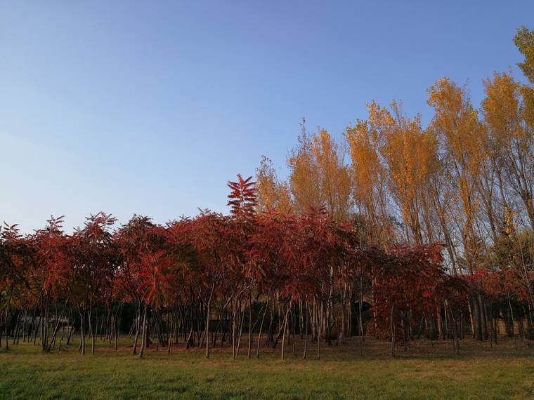 吉林市陈小星拳法研究会 · 场馆环境