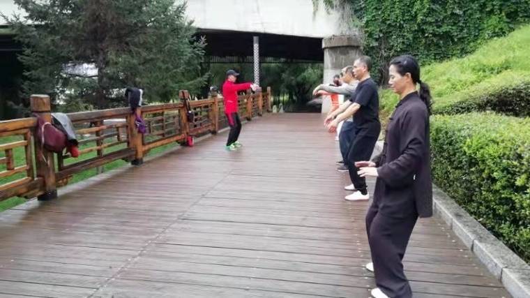 吉林市陈小星拳法研究会 · 教学与活动
