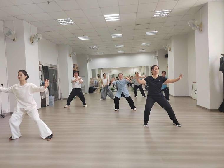 世界太极拳联谊会深圳分会 · 教学与活动