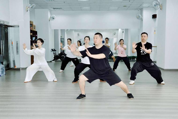 世界太极拳联谊会深圳分会 · 教学与活动
