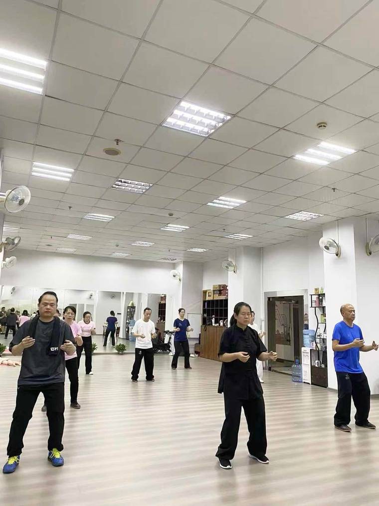 世界太极拳联谊会深圳分会 · 教学与活动