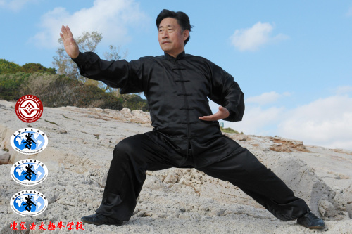 陈小旺 · 陈家沟陈氏第十九世太极拳掌门人