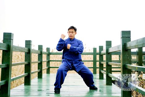 陈自强 · 陈家沟太极拳学校总教练